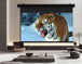 WUPRO Cinema FlowArc Luxury CBSP Smart ALR CLR Motorised Drop Down Projector Screen Application Scenario