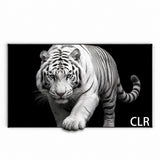 WUPRO Cinema Gallery Evo UST2 CBSP High-Contrast Fixed-Frame Screen for UST Projectors