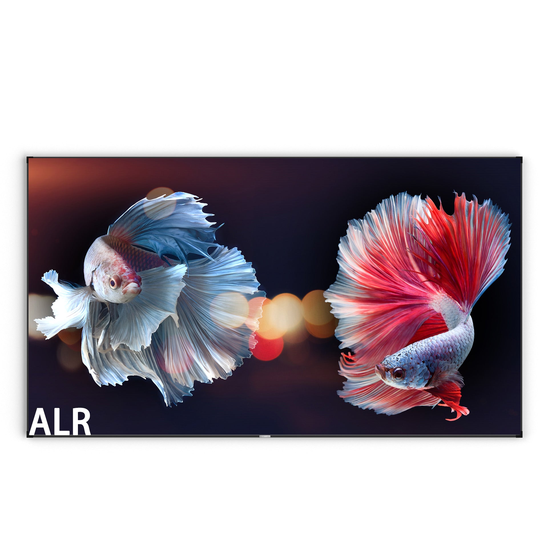 WuproCinema Gallery Evo LT2 Black Crystal Ambient Light Rejecting Fixed Frame Screen