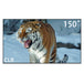 150inch True Seamless WUPRO Cinema Gallery Evo Black Lenticular CLR Fixed Frame screen