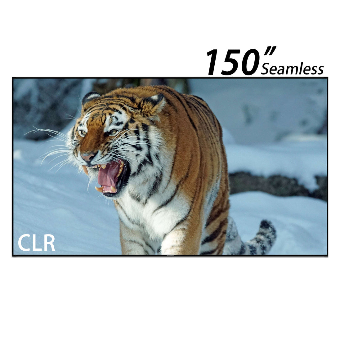 150inch True Seamless WUPRO Cinema Gallery Evo Black Lenticular CLR Fixed Frame screen