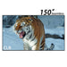 150inch True Seamless WUPRO Cinema Gallery Evo Black Lenticular CLR Fixed Frame screen