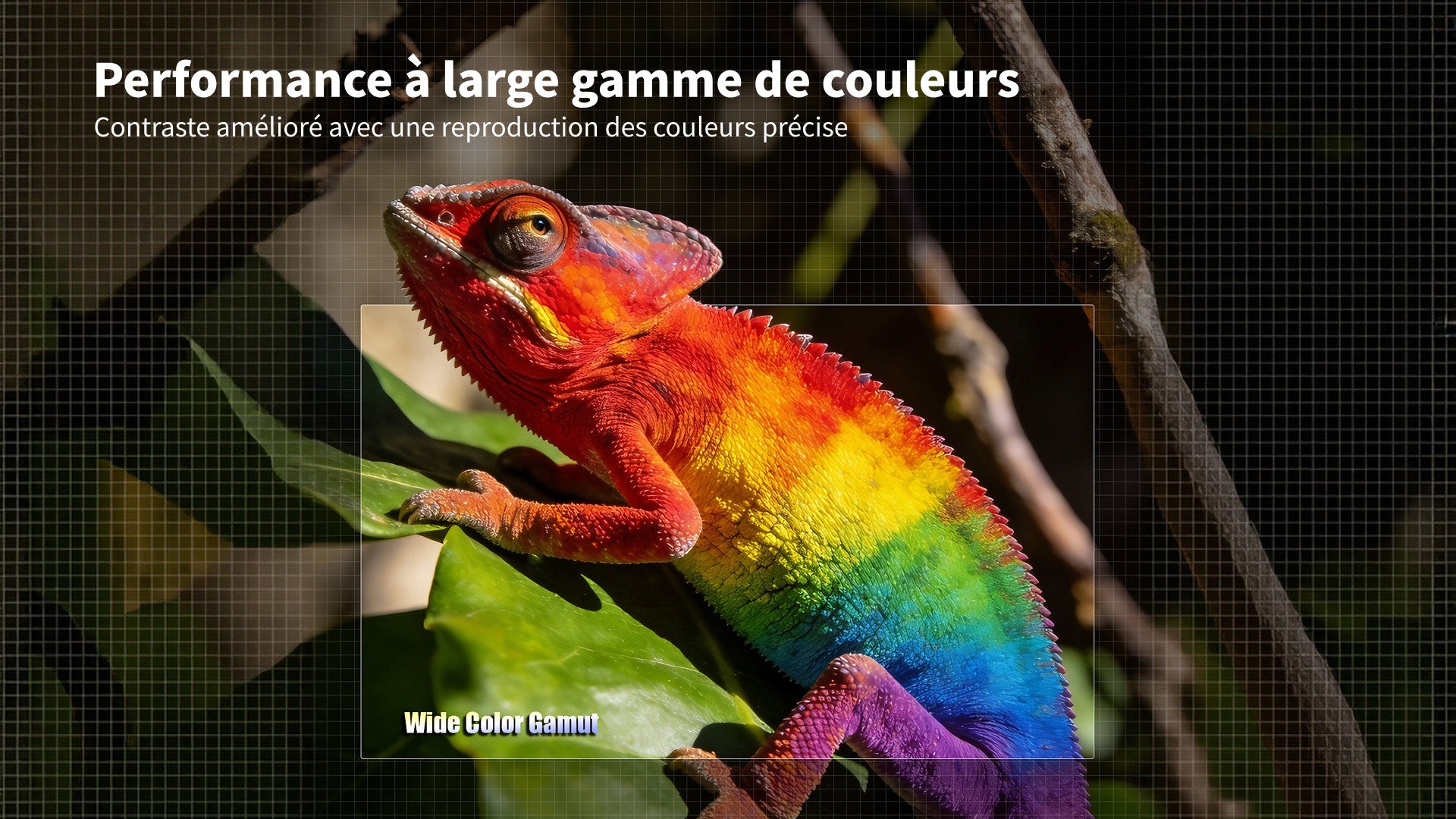 WUPRO LeApex EVO CBSP écran UST motorisé à élévation par le sol, CLR/ALR à contraste élevé – large gamut de couleurs, contraste amélioré et reproduction précise des couleurs