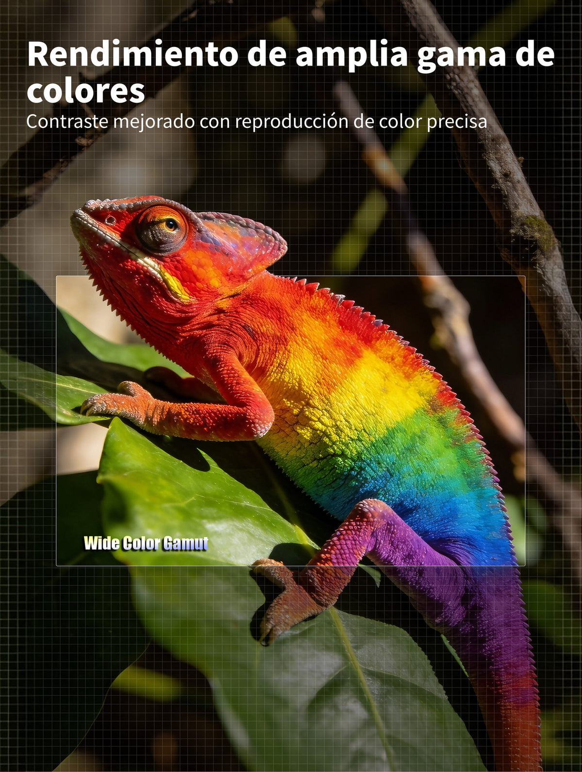Pantalla CBSP ALR UST WUPRO LeApex EVO mostrando un camaleón de colores vivos con contraste mejorado y reproducción precisa de una amplia gama cromática