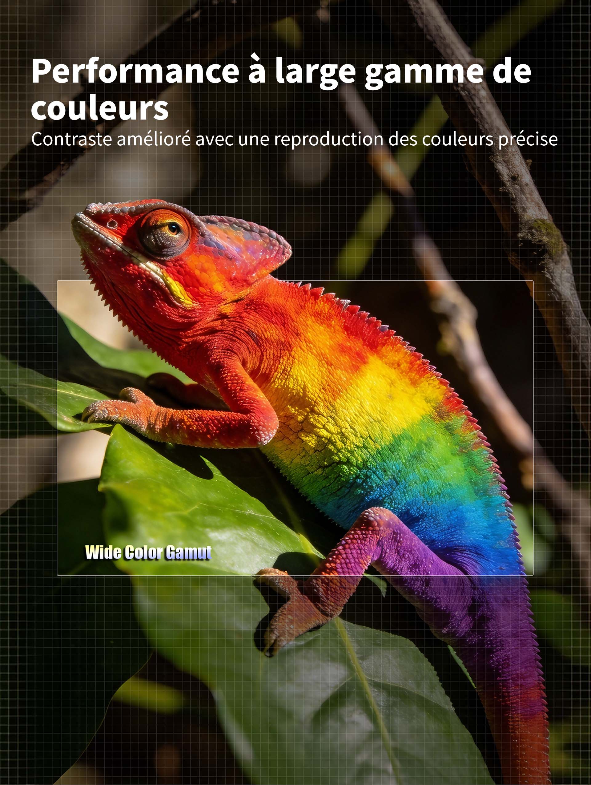 WUPRO LeApex EVO CBSP écran UST motorisé à élévation par le sol, CLR/ALR à contraste élevé – large gamut de couleurs, contraste amélioré et reproduction précise des couleurs