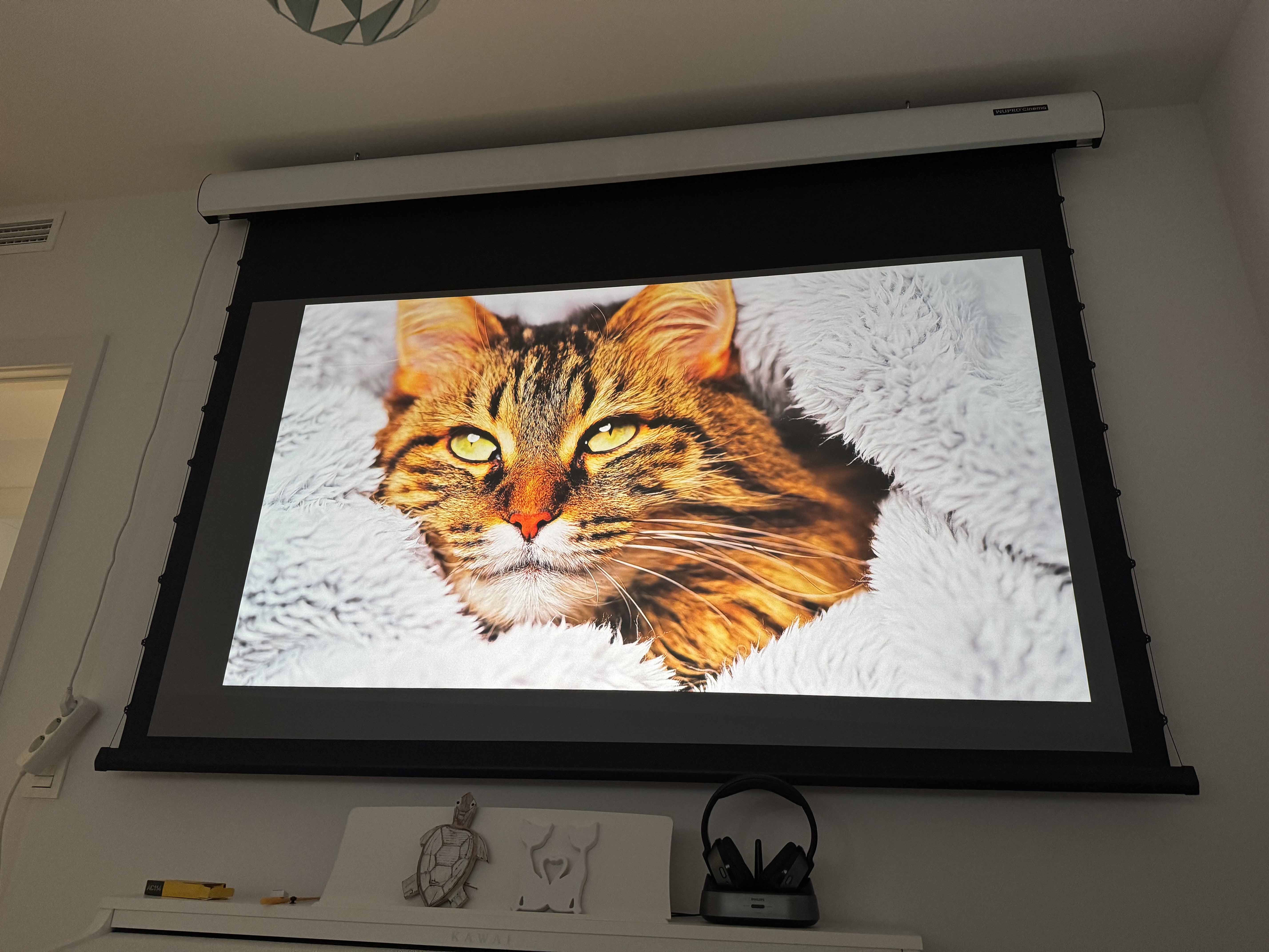 WUPRO Cinema FlowArc Luxury Smart Motorized Drop Down Projector Screen Black Crystal Material Real Pictures 2