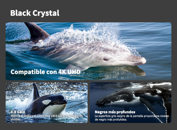Pantalla de proyección motorizada inteligente tensada Wupro Cinema QuadraArc Black Crystal, compatible con 4K UHD, excelente rendimiento del negro, contraste y capacidad antirreflejos.