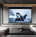 Wupro Cinema QuadraArc Tensioned Smart Motorized Drop Down Projector Screen——Applying home theatre scenarios
