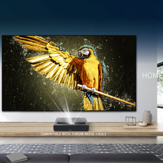 130inch ALR/CLR screen 93% ambient light resistant for the ultimate daytime viewing experience
