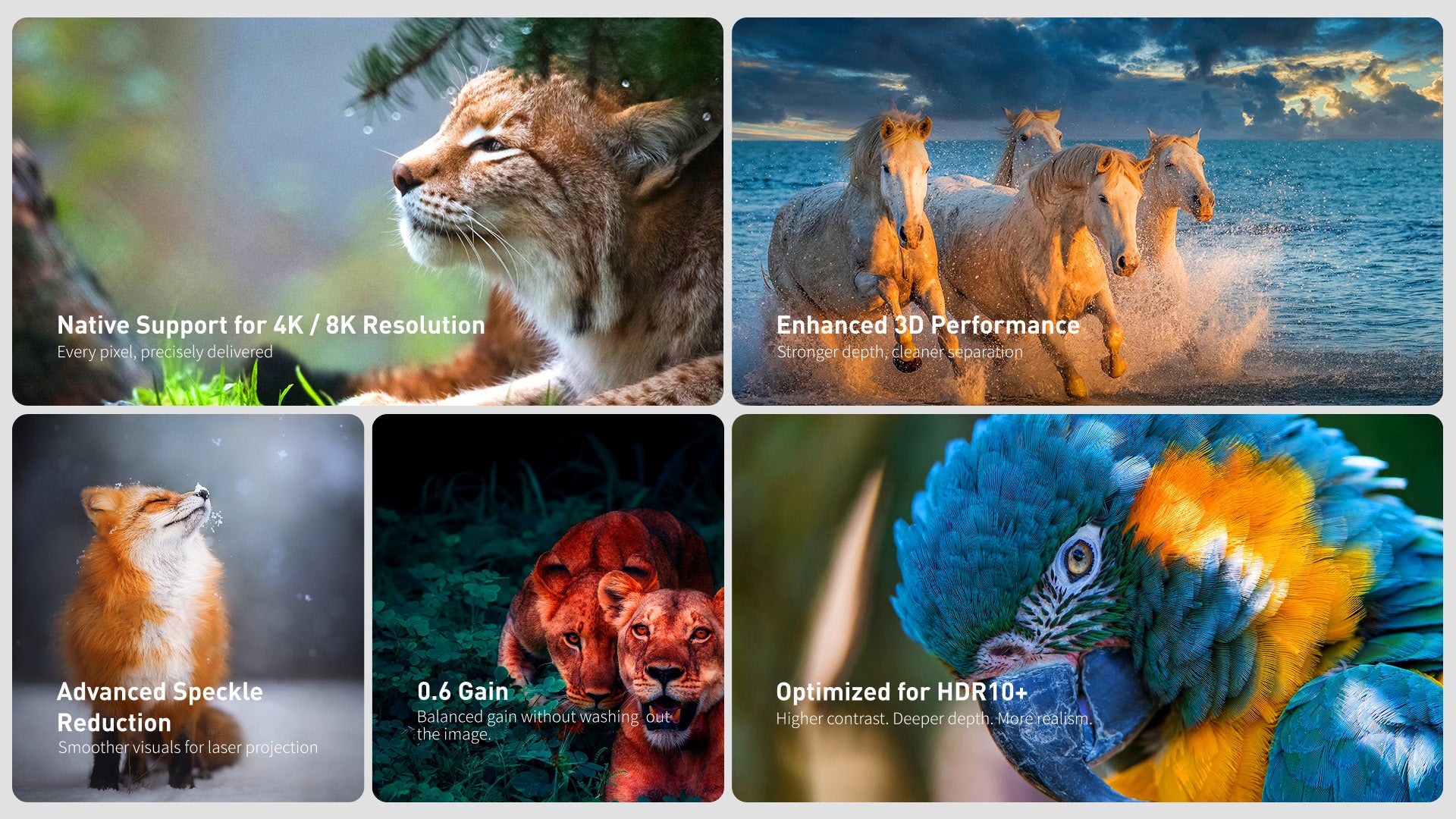 WUPRO LeApex EVO CBSP High Contrast CLR ALR UST Smart Motorized Floor Rising Screen – 0.6 Gain, 4K/8K Ready, HDR10+, Reduced Speckle, Enhanced Contrast