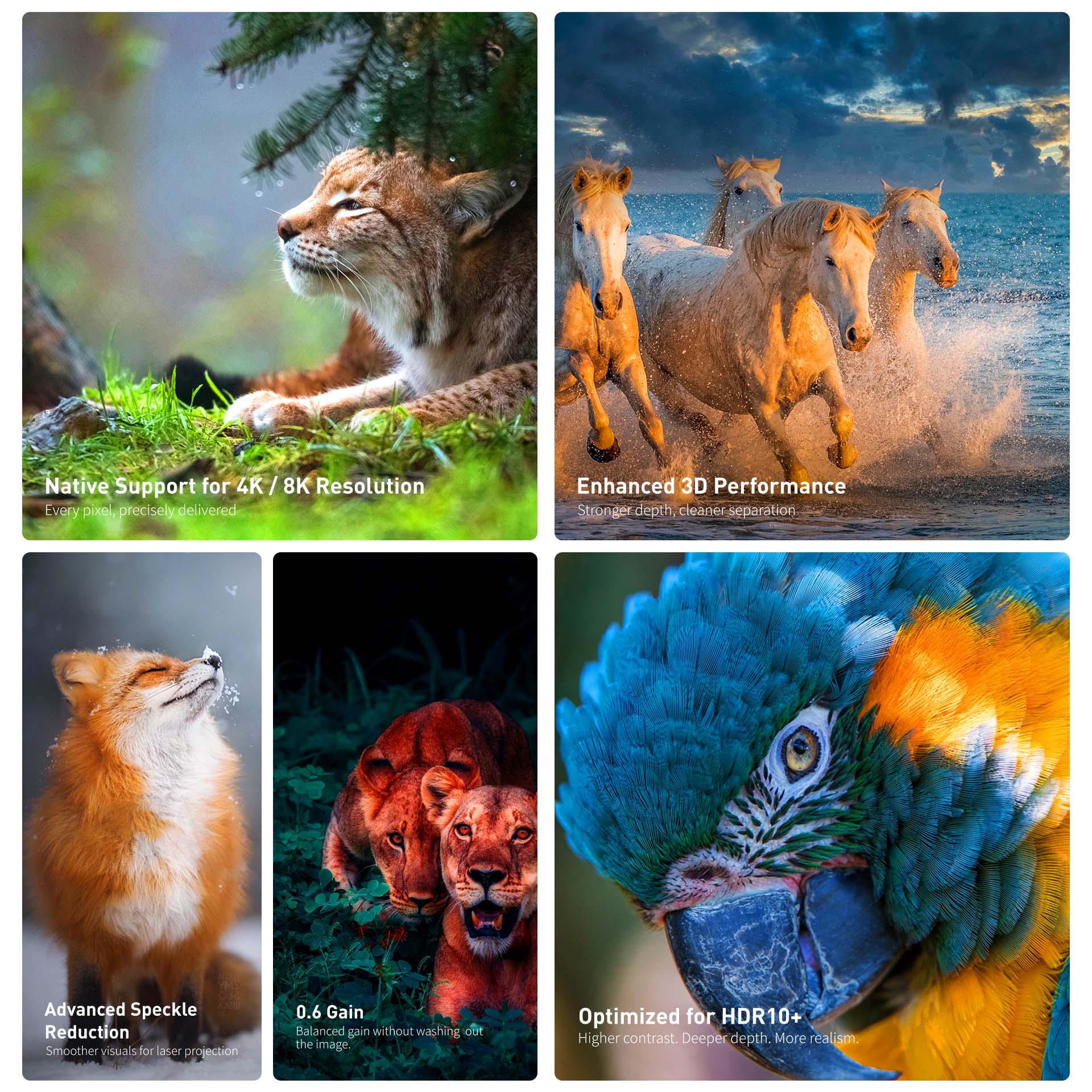 WUPRO LeApex EVO CBSP High Contrast CLR ALR UST Smart Motorized Floor Rising Screen – 0.6 Gain, 4K/8K Ready, HDR10+, Reduced Speckle, Enhanced Contrast