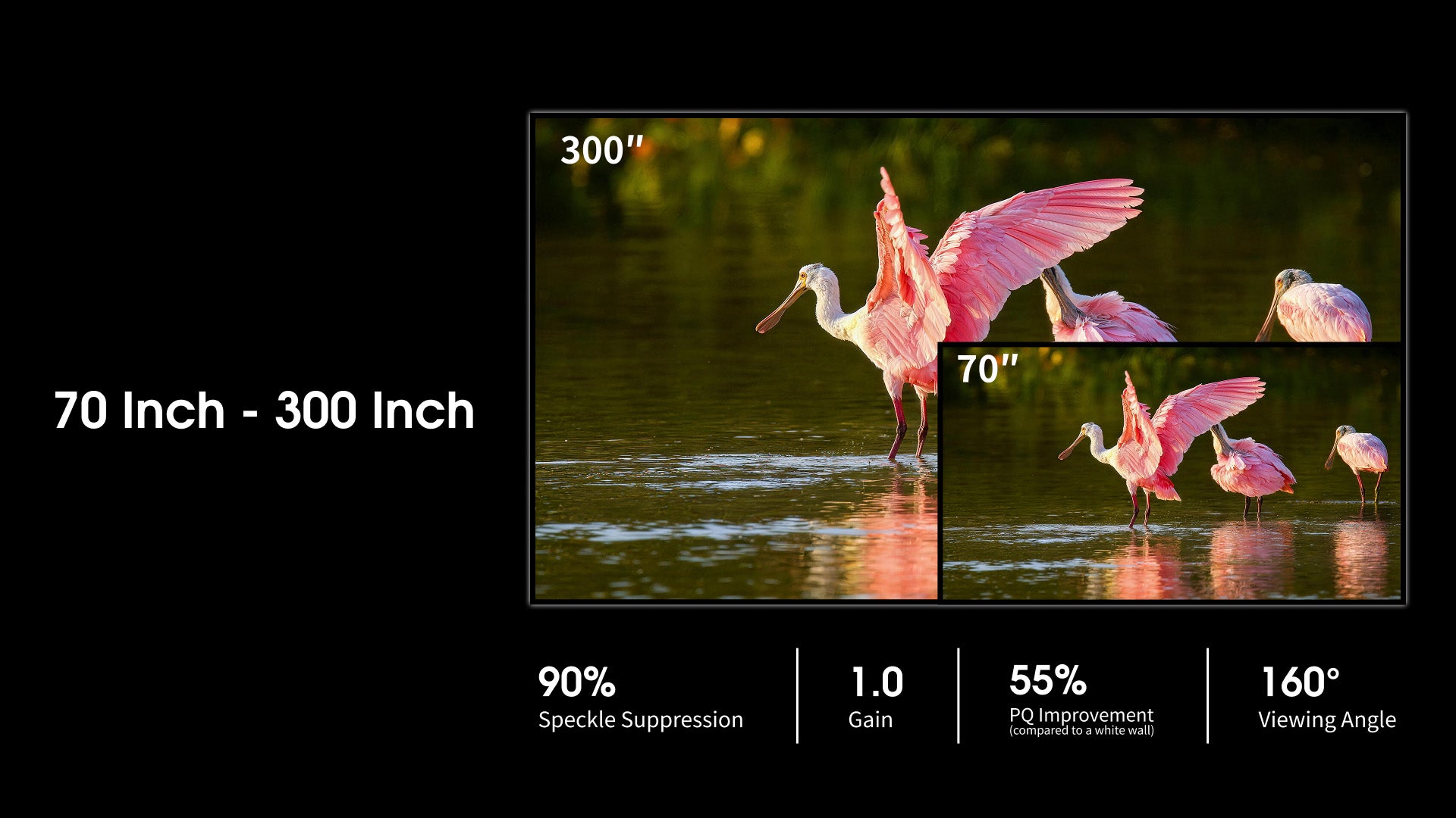 WUPRO Gallery Soft Matte White Fixed Frame Screen Available in 70-300 Inch Sizes