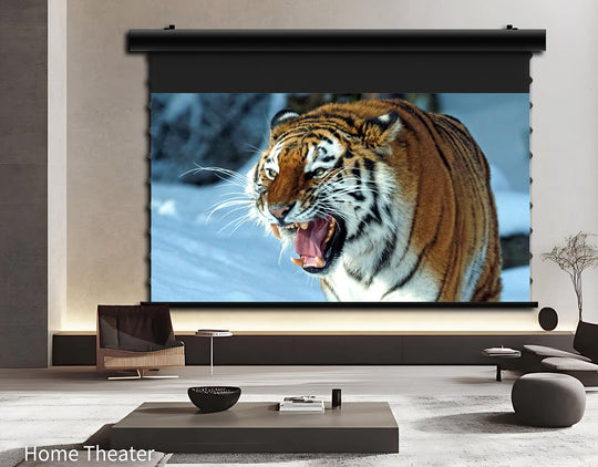 WUPRO Cinema FlowArc Luxury CBSP Smart ALR CLR Motorised Drop Down Projector Screen Application Scenario