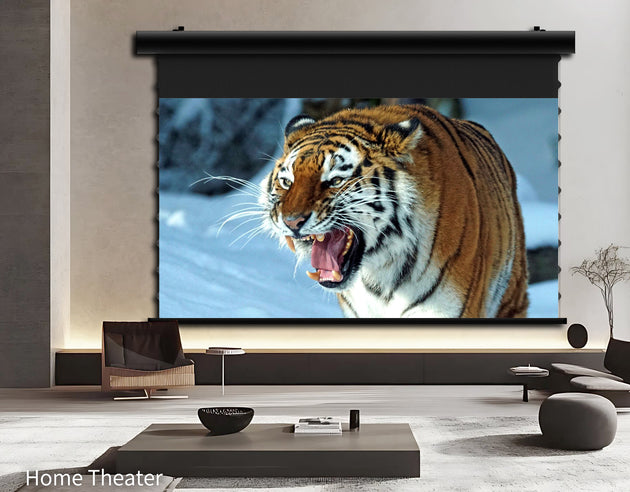 WUPRO Cinema FlowArc Luxury CBSP Smart ALR CLR Motorised Drop Down Projector Screen Application Scenario
