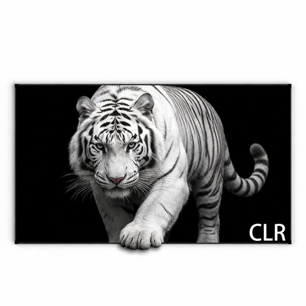 WUPRO Cinema Gallery Evo UST2 CBSP High-Contrast Fixed-Frame Screen for UST Projectors