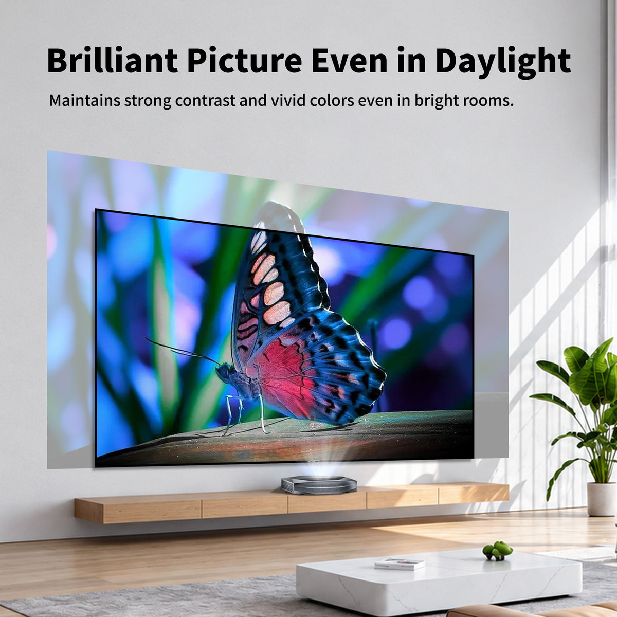 WUPRO Cinema Gallery EVO CBSP CLR fixed frame screen for UST projectors showing strong contrast and vivid colors in a bright room with daylight